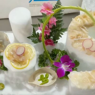 760*640*568/760*850*1100мм Коммерческая машина для производства льда из снежных хлопьев LZ-700