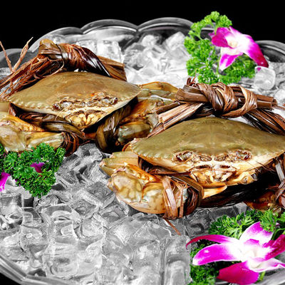 220 кг Ежедневный электрический ток LZ-500 Специальные размеры Квадратный кубический ледокольный аппарат Стоимость